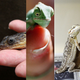 Images: Getty